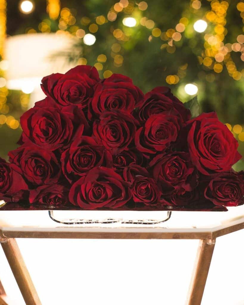 The Bachelor spoiler