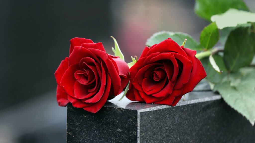 the bachelor rose ceremony