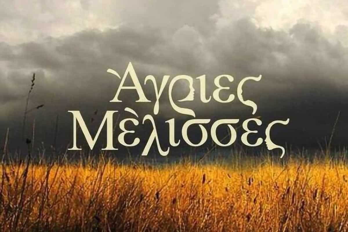 Τα γυρίσματα στις Άγριες Μέλισσες έχουν ξεκινήσει απο τον Ιούλιο μετά το τέλος της άδειας που είχαν οι ηθοποιοί για να κάνουν διακοπές.