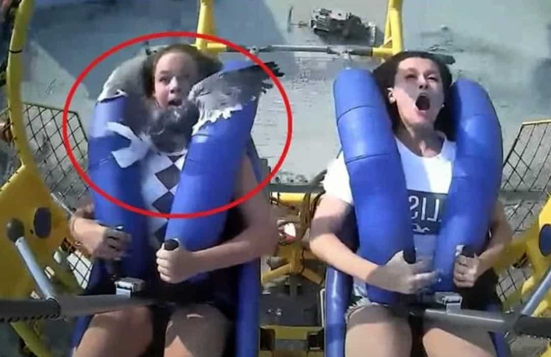 viral βίντεο
