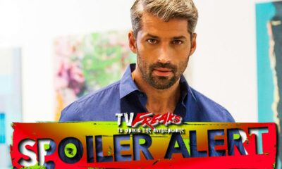 Αν δεν το έχετε πάρει χαμπάρι στο The Bachelor ετοιμάζονται για φινάλε και σιγά σιγά θα αραιώσουν ακόμα περισσότερο τα κορίτσια στην βίλα