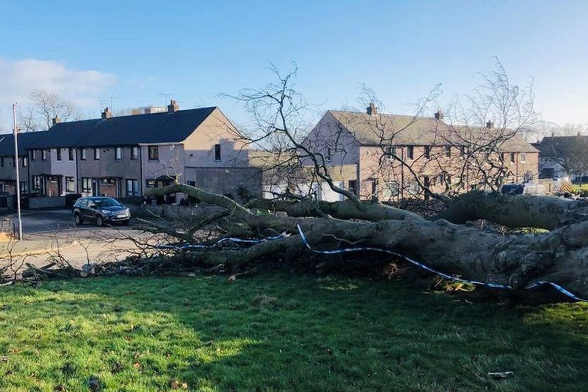 Ένα εννιάχρονο αγόρι και μια 60χρονη γυναίκα έχασαν τη ζωή τους αφού χτυπήθηκαν από πτώση δέντρων κατά τη διάρκεια της καταιγίδας