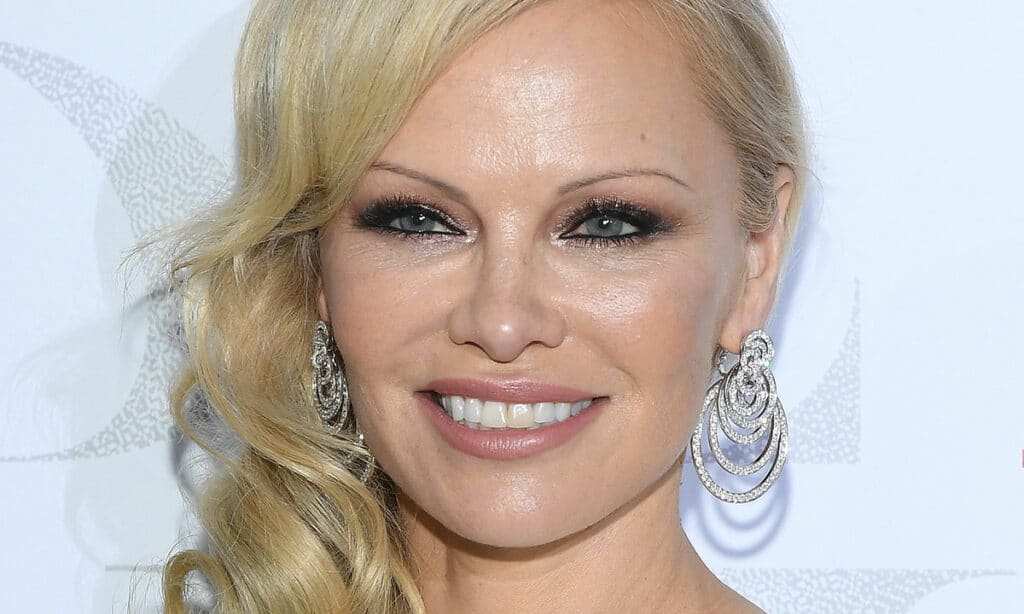 pamela anderson divorce