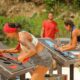 Survivor spoiler: Το χτεσινό επεισόδιο στο ριάλιτι του ΣΚΑΪ ήταν γεμάτο με ανατροπές, αφού μετά απο 9 ήττες οι Μαχητές κατάφεραν