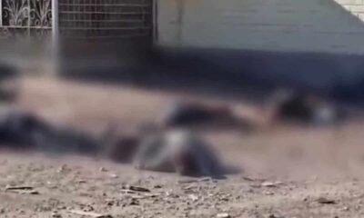 Ο πόλεμος στην Ουκρανία συνεχίζεται ακάθεκτος και τίποτα δεν δείχνει ότι μπορεί να τελειώσει άμεσα και να σωθούν εκατομμύρια άμαχοι την ώρα
