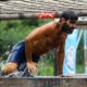 Survivor spoiler: Το πρώτο παιχνίδι στο ριάλιτι επιβίωσης του ΣΚΑΪ μετά την αλλαγή των ομάδων που θα δούμε σήμερα 19/3 στο έκτακτο συμβούλιο