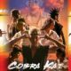 Το Cobra Kai κάνει ήδη παγκόσμια επιτυχία, όχι μόνο μεταξύ των θαυμαστών του επιτυχημένου franchise της δεκαετίας του ’80 που άρχισαν