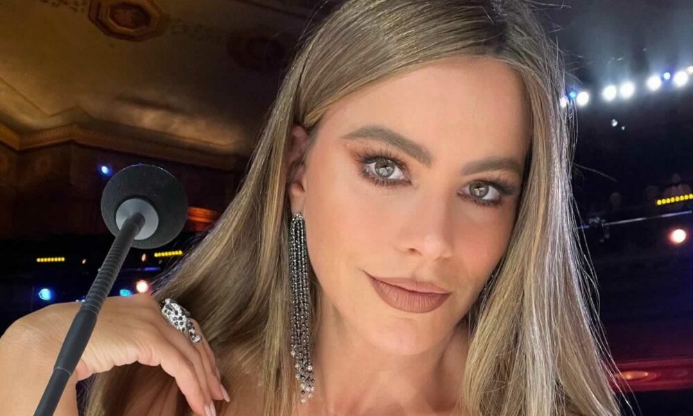 Είναι γνωστό ότι η Σοφία Βεργκάρα, είναι μια απο τις πιο εντυπωσιακές γυναίκες που υπάρχουν το Hollywood και μάλιστα η πιο ακριβοπληρωμένη