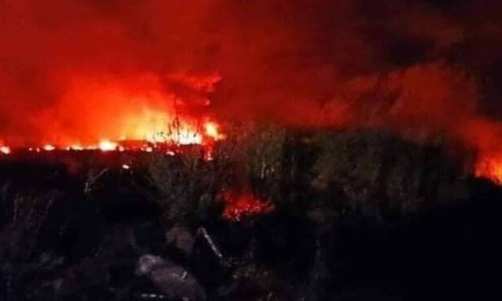 Αυτές είναι οι πρώτες εικόνες από το σημείο της συντριβής του αεροσκάφους στην Καβάλα, όπου κατέπεσε με άγνωστο μέχρι στιγμής φορτίο,