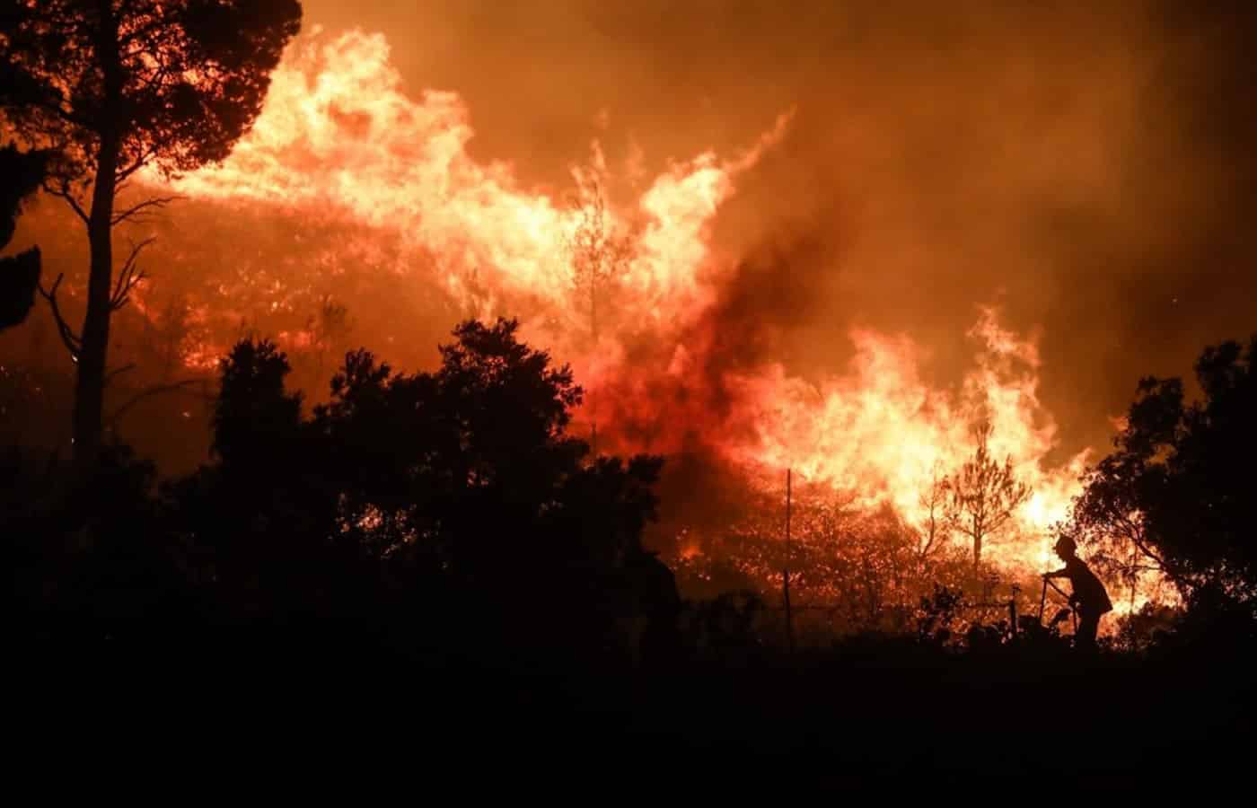Μπορεί θύματα ευτυχώς να μην είχε η καταστροφική φωτιά που καίει για ακόμα μια φορά την Αττική, αυτή την φορά την Πεντέλη και τις περιοχές