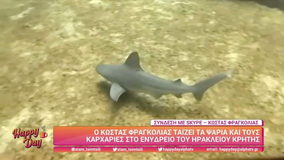 Ο Κώστας Φραγκολιάς δεν έδωσε το παρών σήμερα στην εκπομπή Happy Day του Alpha αφού όπως θα δείτε και εσείς στο παρακάτω βίντεο είχε