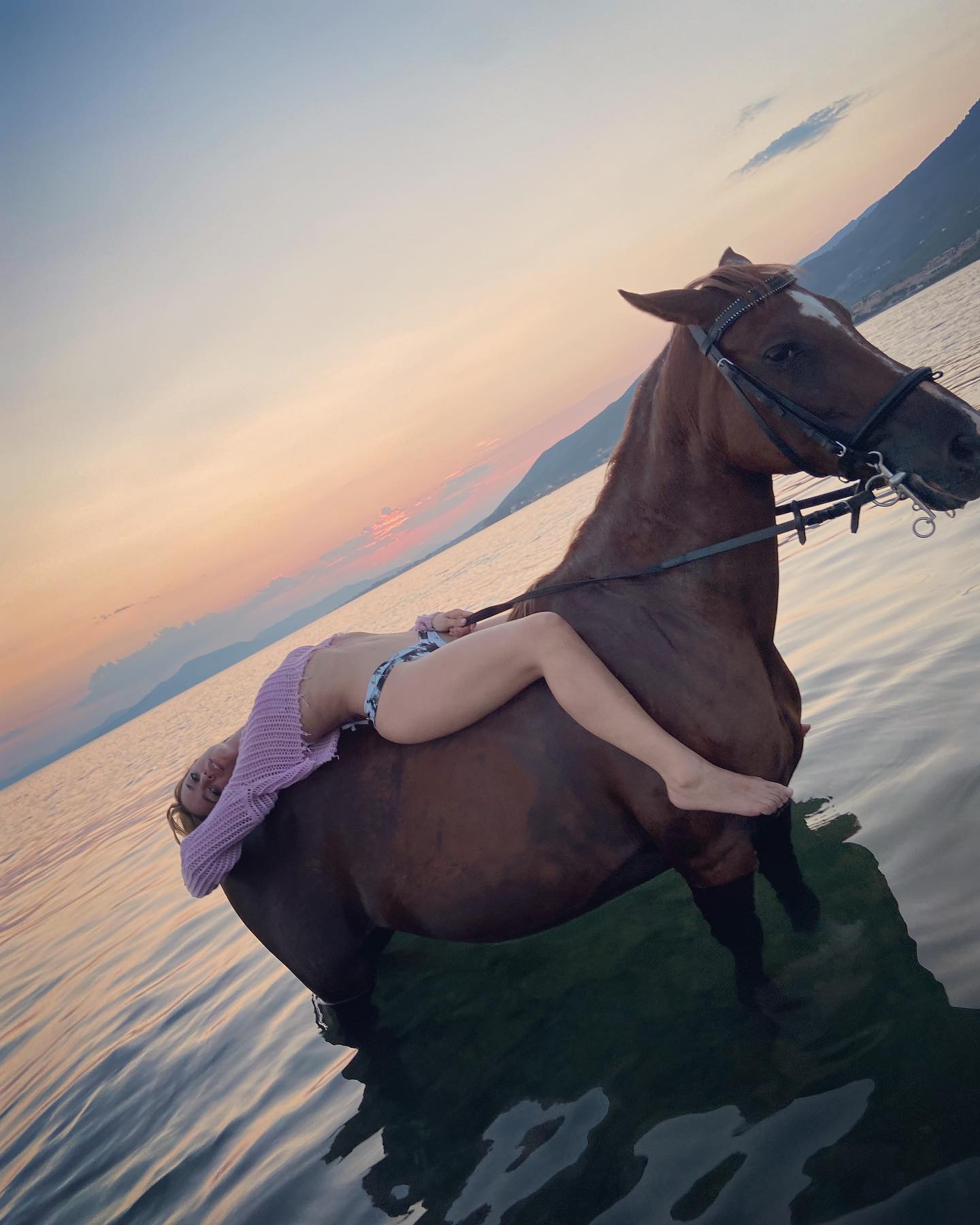 traiana anania alogo 2