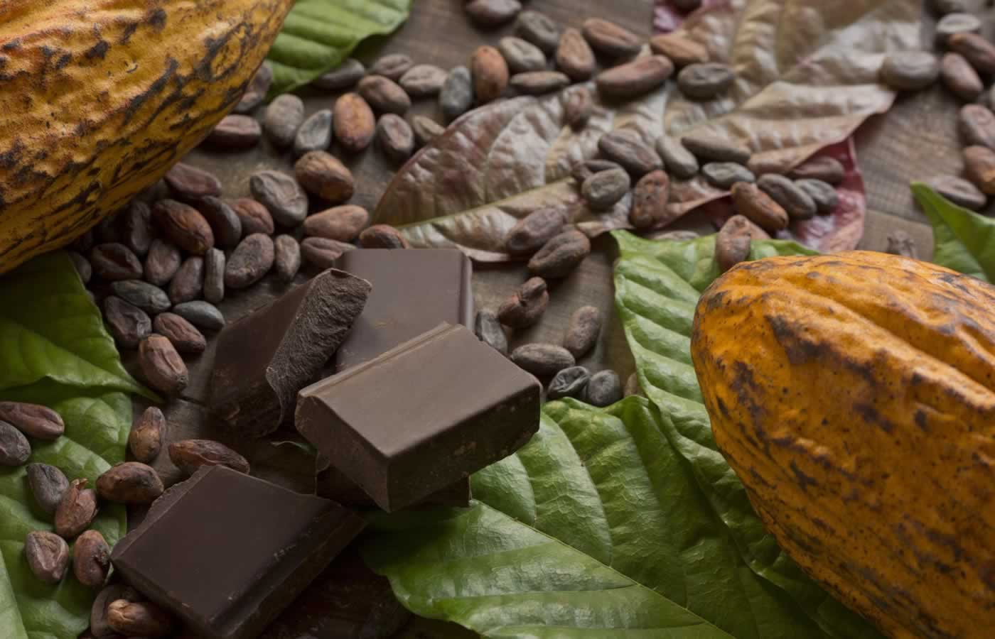 Όλοι αγαπούν τη σοκολάτα…αλλά οι περισσότεροι δεν έχουν ιδέα και δεν ξέρουν από πού προέρχεται αυτή η γευστική απόλαυση που τρελαίνει