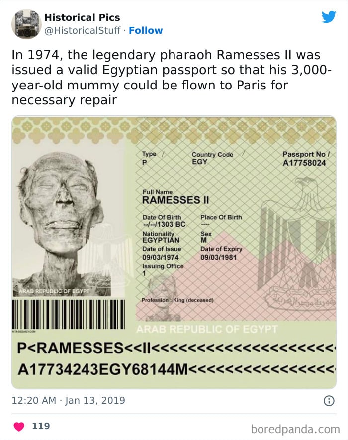 6396d688c4288 1084243811553939461 png 700