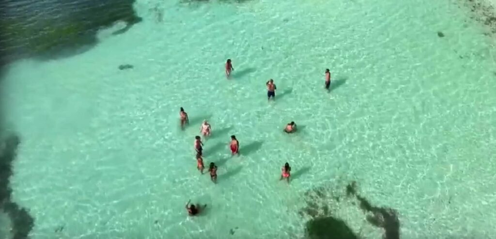 Survivor All Star