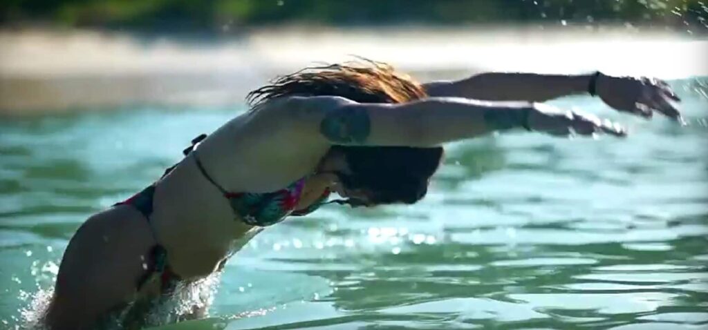 Survivor All Star