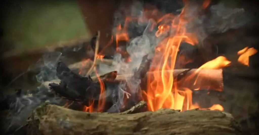 Survivor spoiler 18/1