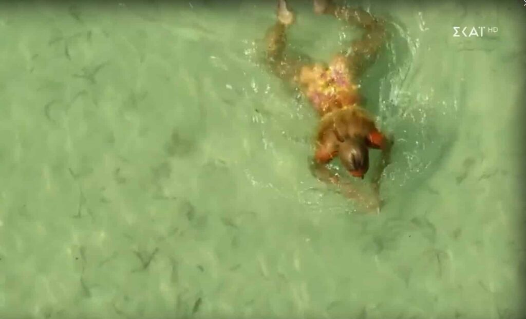 Survivor All Star Spoiler