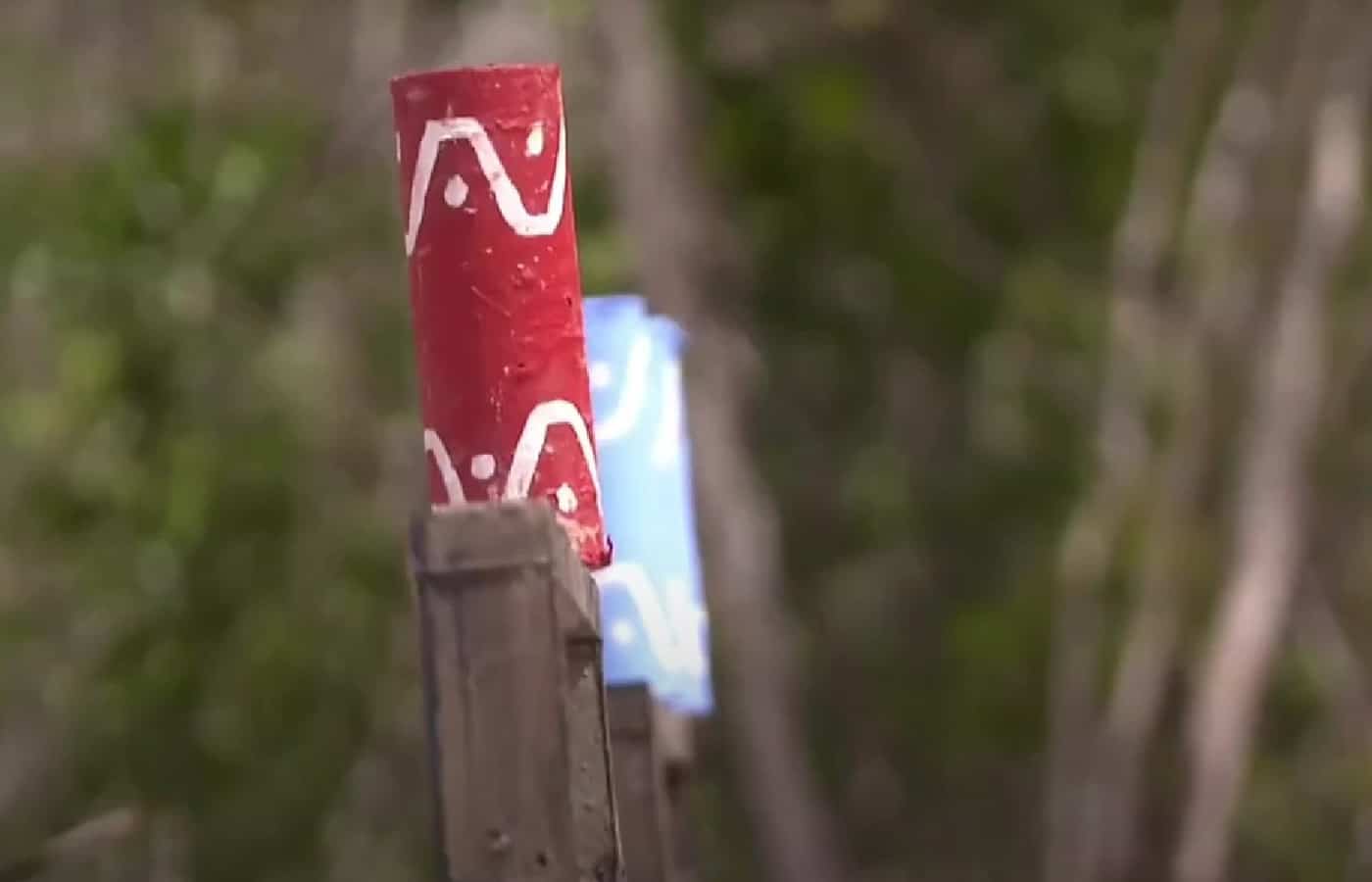 Survivor All Star spoiler 12/2