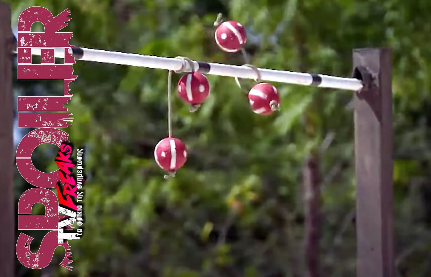 Survivor spoiler ALERT 7/2