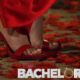The Bachelor