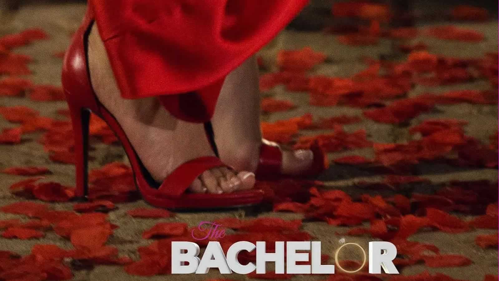 The Bachelor