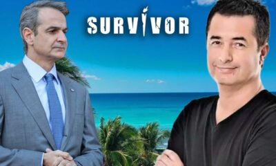 Survivor All Star