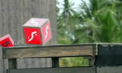 Survivor All Star