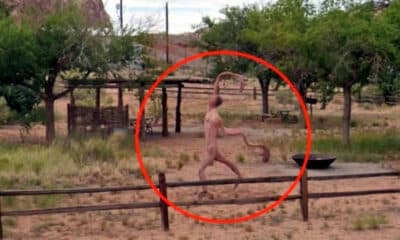 Google Street View