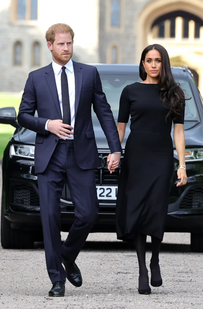 prince harry duke sussex meghan