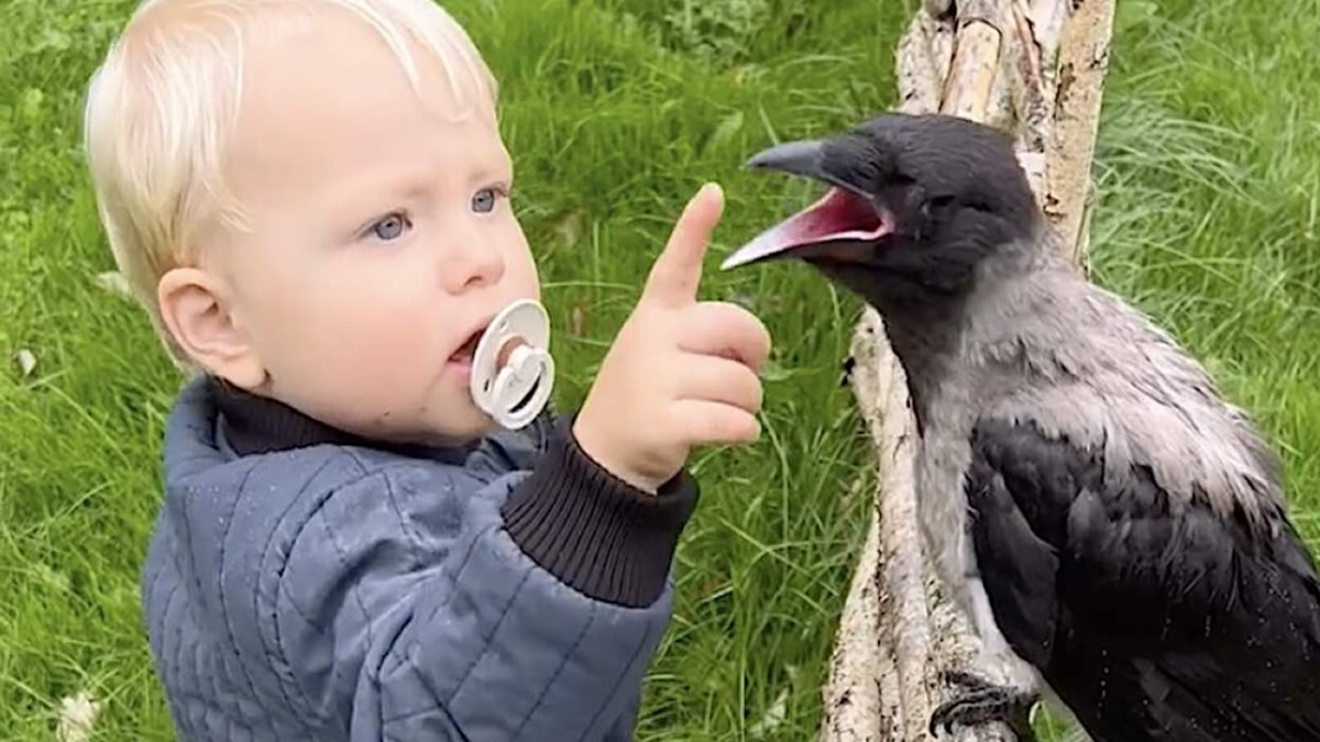 viral vinteo ena paidi kai ena koraki moirazontai mia apisteyti filia