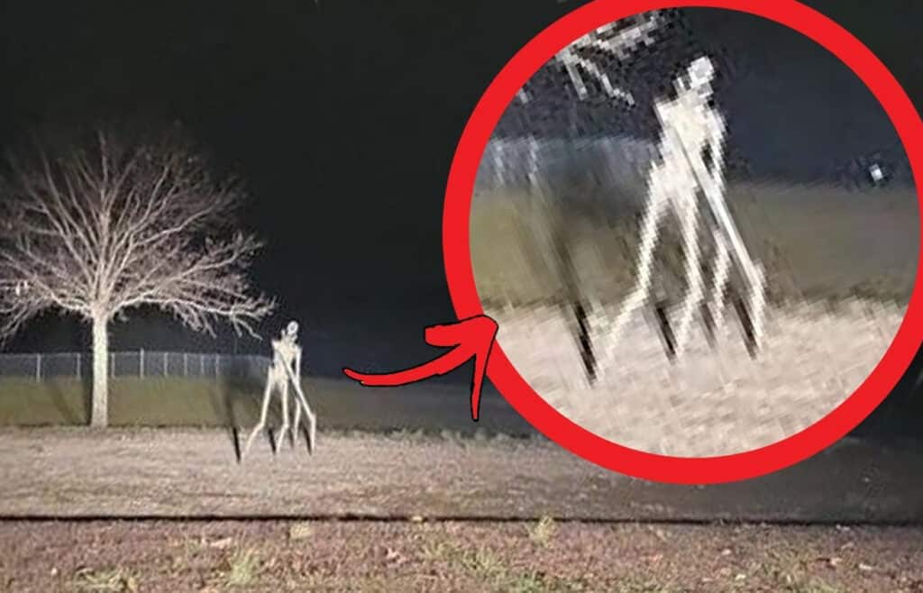 agnosto plasma se vinteo prokalei fovo einai exogiinos egine viral amesos