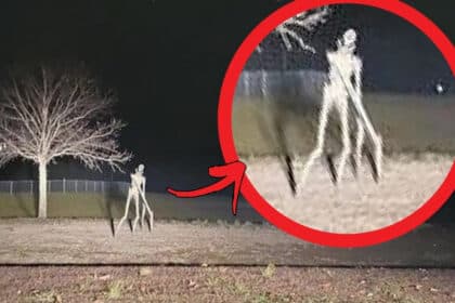 agnosto plasma se vinteo prokalei fovo einai exogiinos egine viral amesos