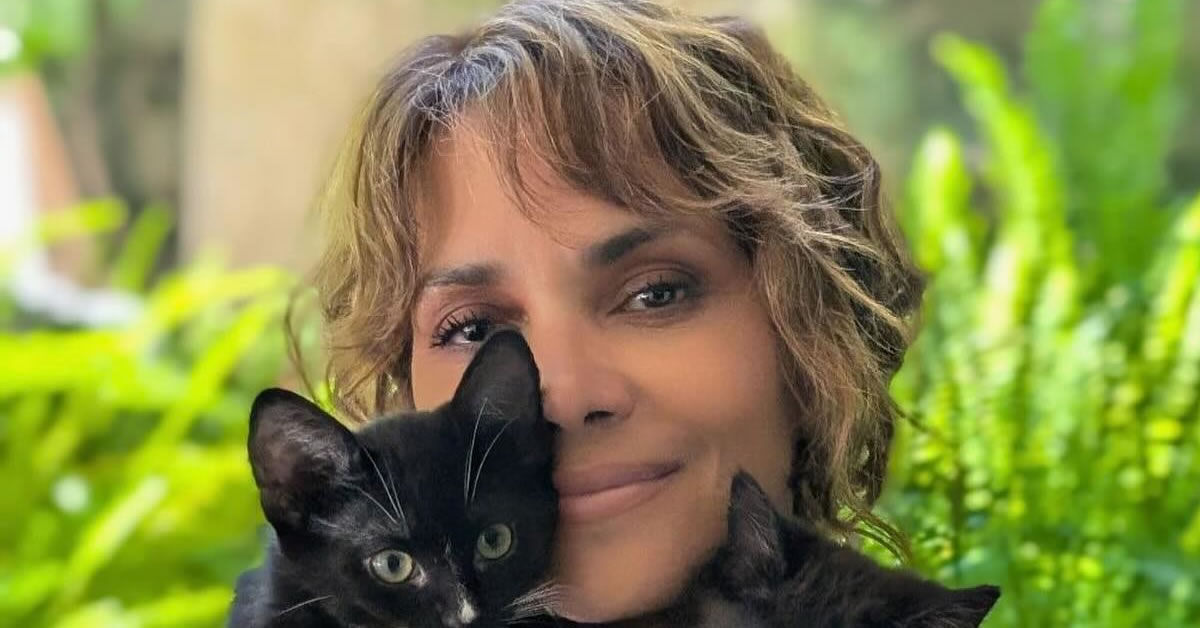 i halle berry fotografizetai mono me tis gates tis