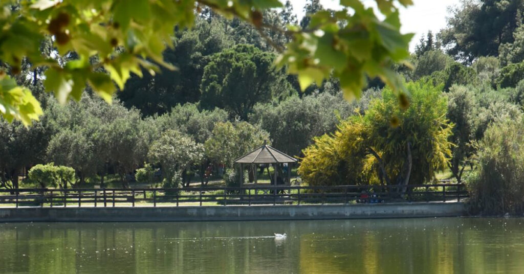 pos tha peraseis oikonomika kai kala to kalokairi