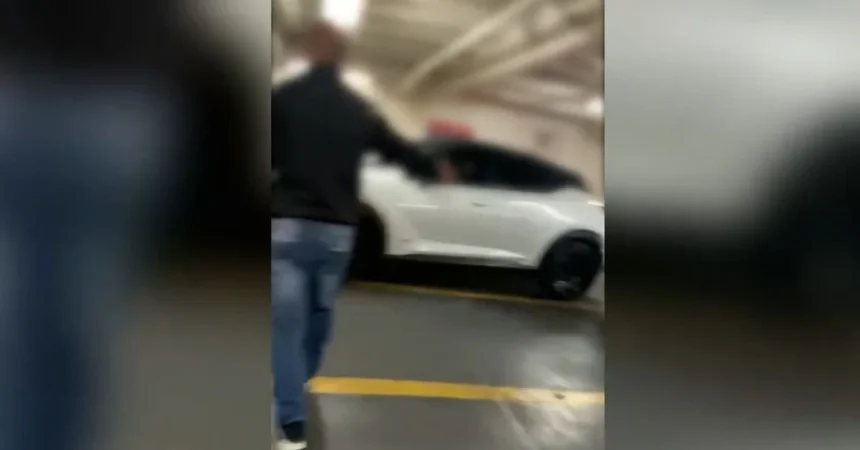 ntora bakogianni vs vasilis kikilias