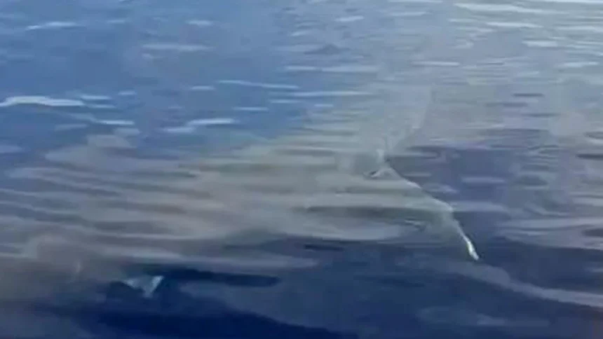 karcharas karpathos psarades