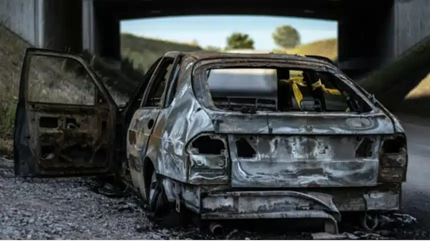 Αστυνομικές δυνάμεις σε σημείο έρευνας στα Σκούρτα Βοιωτίας