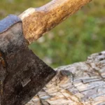 sok larisa tsekouri spiti