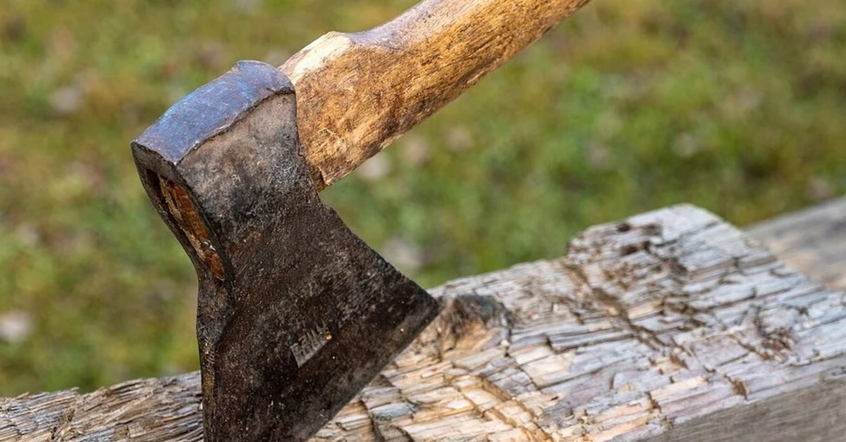 sok larisa tsekouri spiti