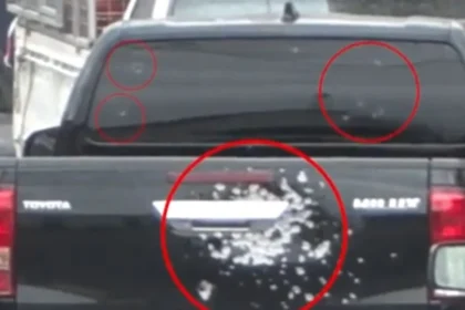 vorizia irakleiou vedeta pedio maxis