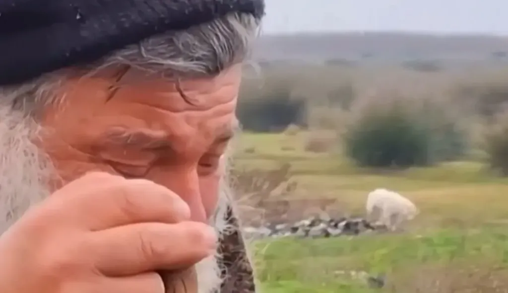 κτηνοτρόφος Κωνσταντίνος Θεολόγου