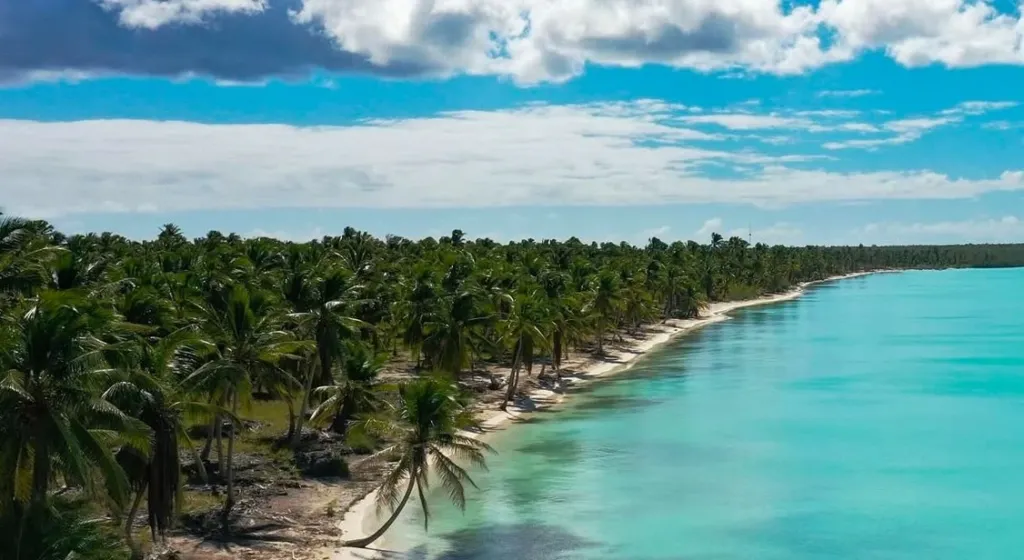 Survivor: Επιστρέφει τον Δεκέμβριο – Το νέο concept και το μεγάλο στοίχημα του ΣΚΑΪ 3 ριάλιτι επιβίωσης