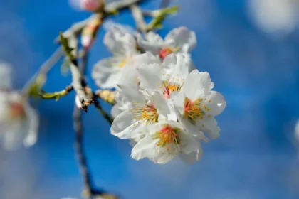Εαρινή Ισημερία 2026