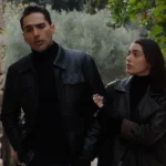 Η γη της ελιάς