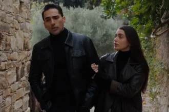 Η γη της ελιάς