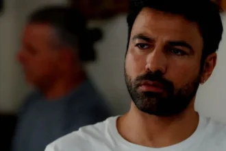 Η Γη της Ελιάς Στέφανος