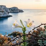 Οι πρωταγωνιστές της νέας δραματικής σειράς του ΑΝΤ1 Κρίνος και αγκάθι.