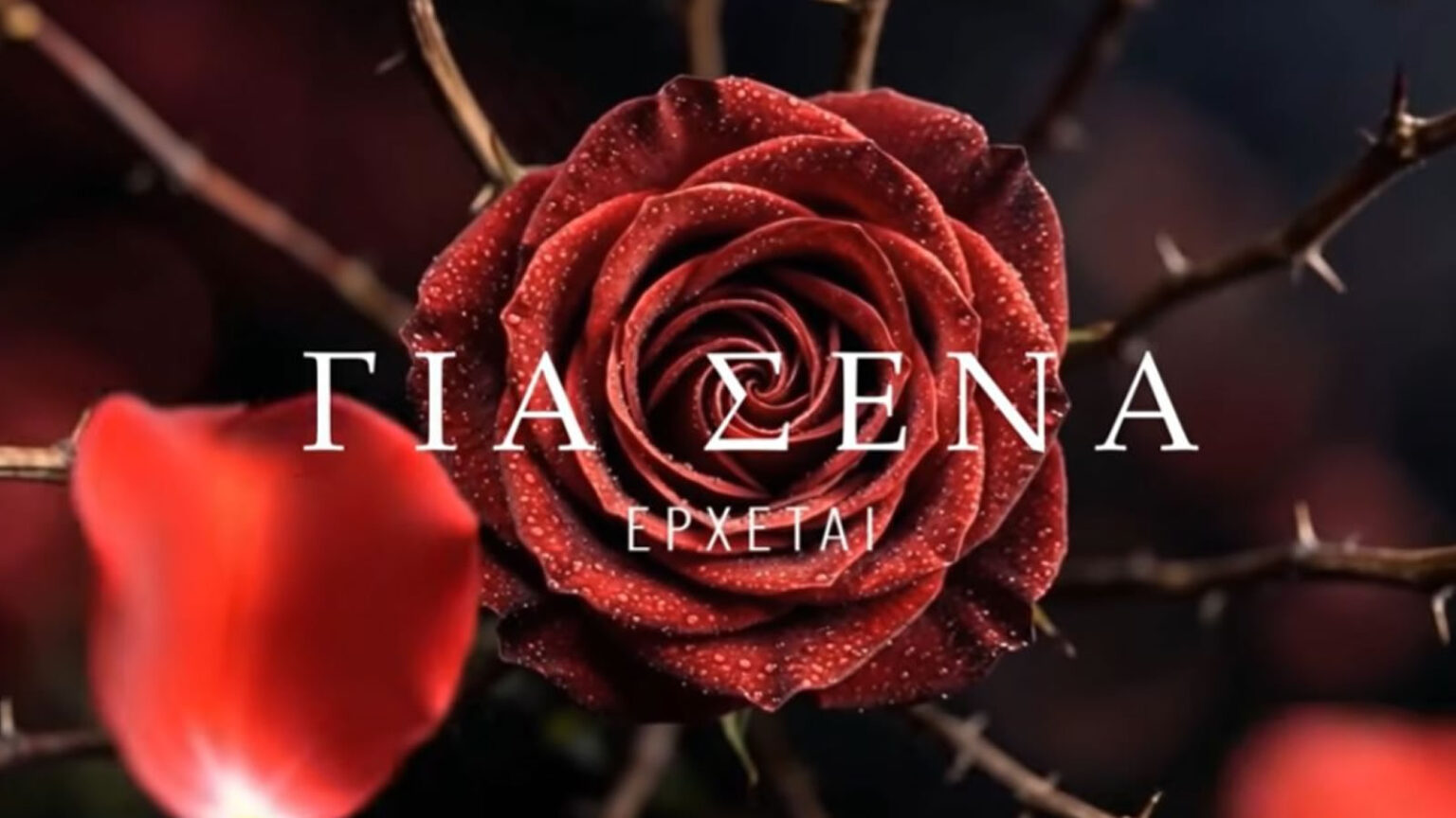 gia sena alpha teaser